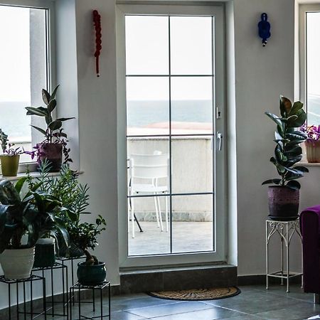 Vila Gladiola Eforie Nord Εξωτερικό φωτογραφία