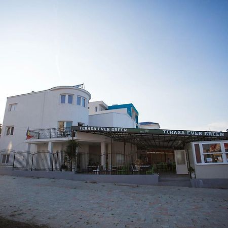 Vila Gladiola Eforie Nord Εξωτερικό φωτογραφία