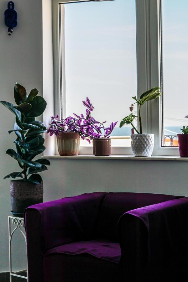 Vila Gladiola Eforie Nord Εξωτερικό φωτογραφία